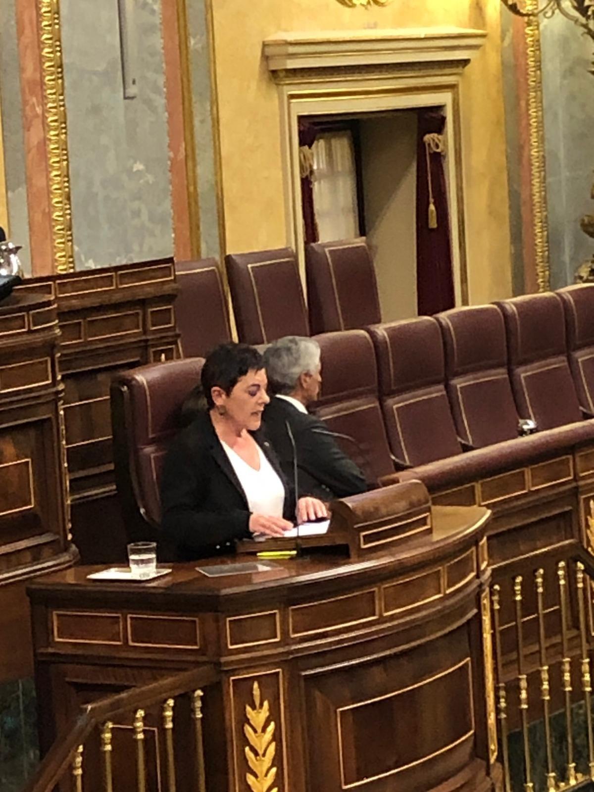 La portavoz de EH Bildu Mertxe Aizpurua interviene en el Pleno del Congreso y el secretario cuarto de la Mesa del Congreso Alfonso Suárez Illana le da la espalda 