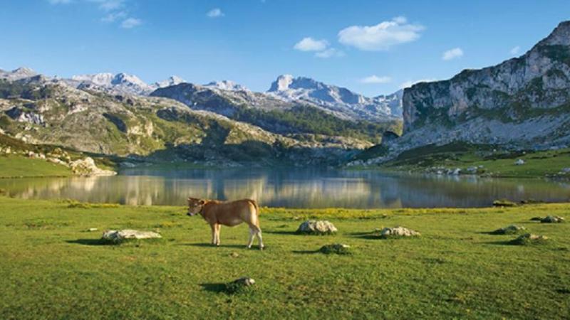 Riqueza del paisaje de Asturias. Fuente Web Turismo Asturias