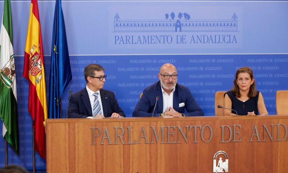 Los diputados de Vox Eugenio Moltó, Alejandro Hernández y María José Piñero.