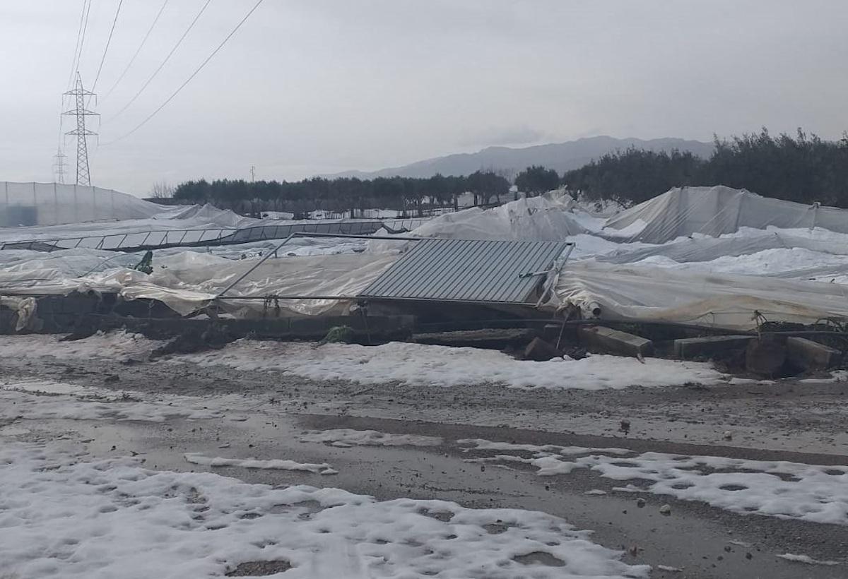 Invernadero sepultado por el granizo en Níjar (Almería). EP