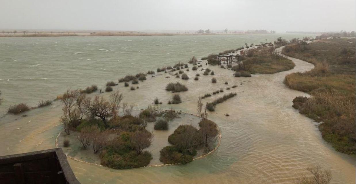 Una de las zonas afectadas por Gloria del Delta del Ebro