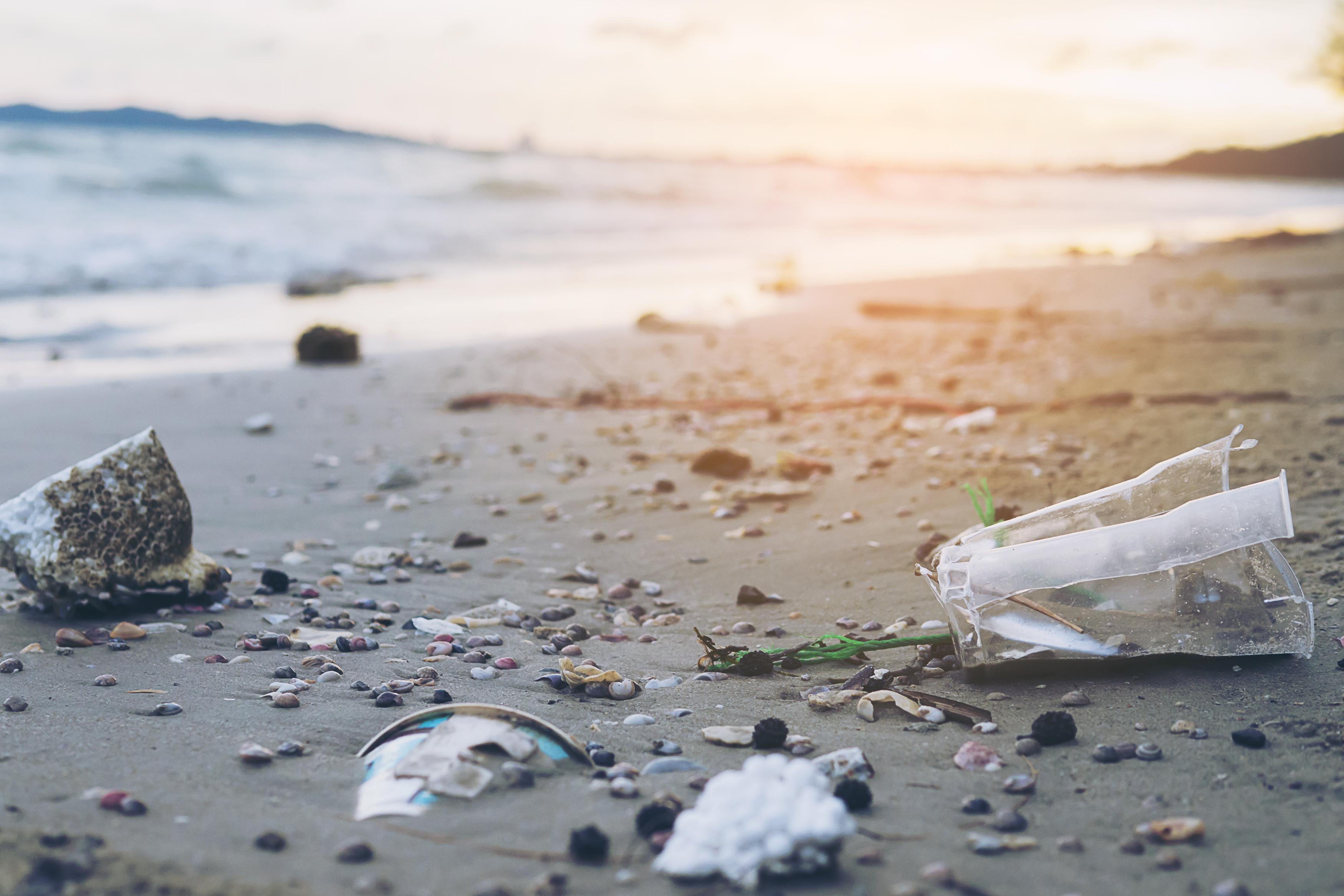 Un mar de plástico: 100.000 animales marinos mueren al año
