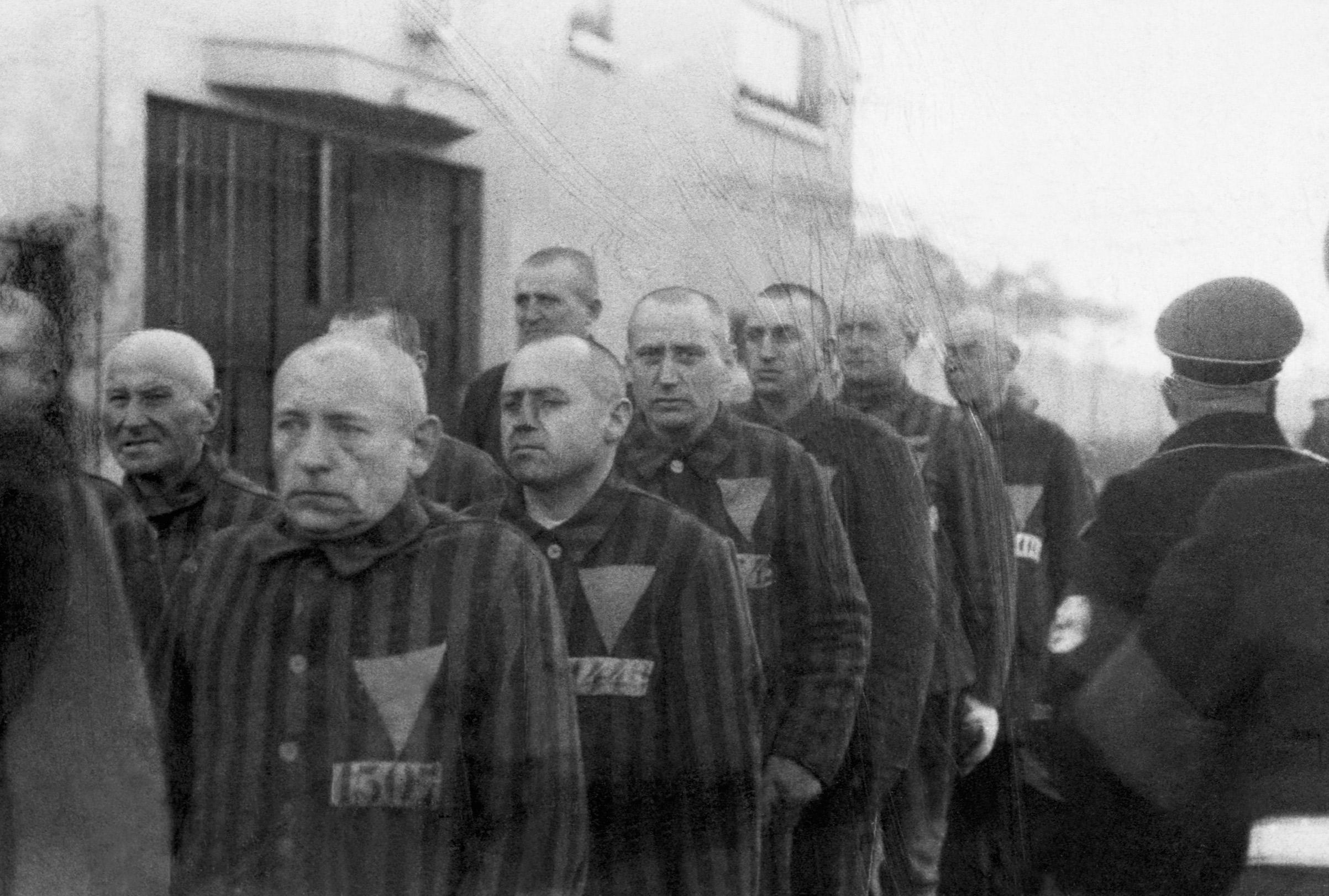 Prisioneros con triángulos rosas en sus uniformes marchan al aire libre bajo la vigilancia de los guardias de la SS en Sachsenhausen. Foto: auschwitz.net