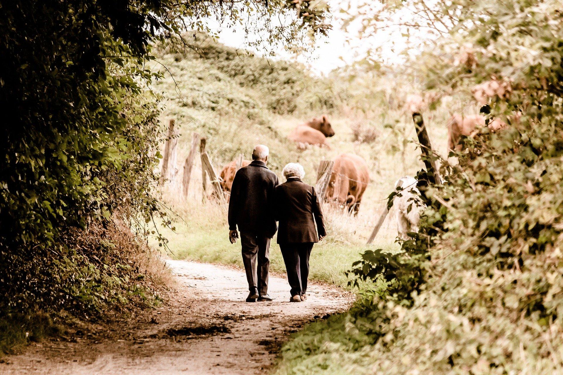 Dos ancianos paseando por el campo 