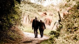 Dos ancianos paseando por el campo