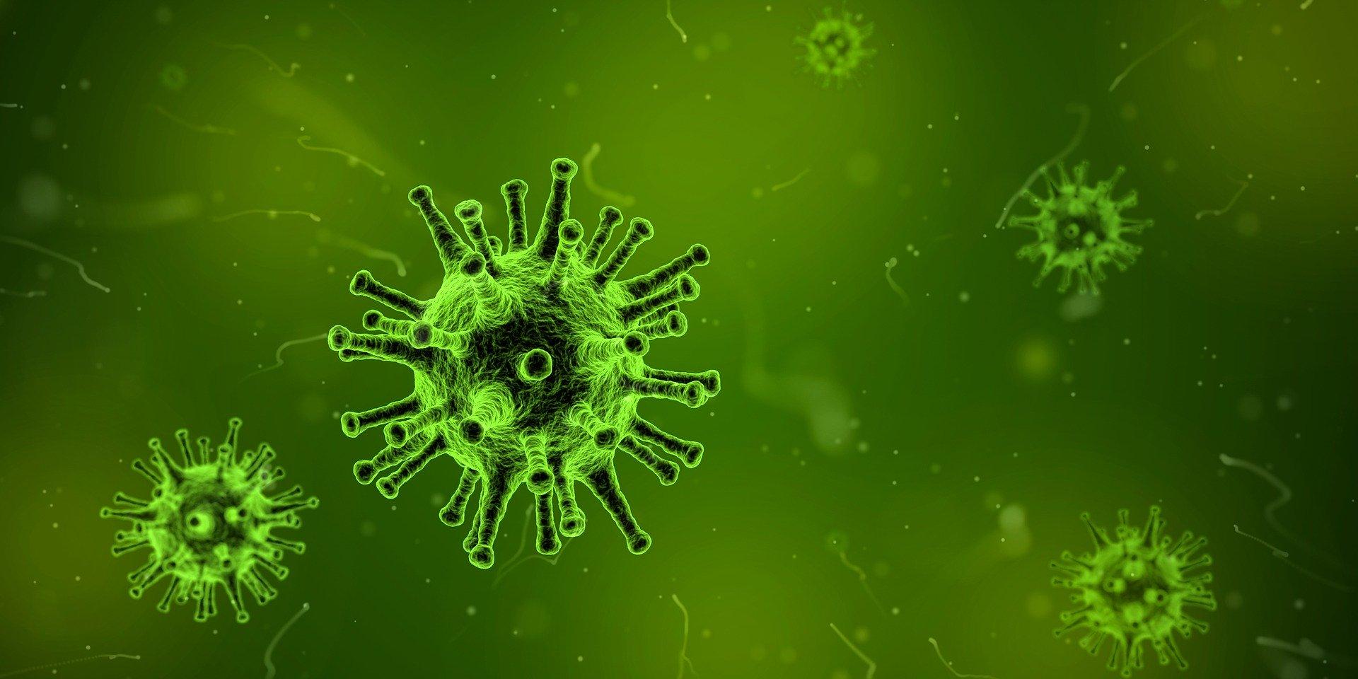 Un virus visto por un microscopio. Fuente: Pixabay.