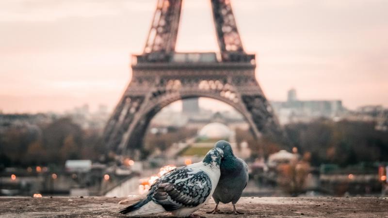 Paris Paris