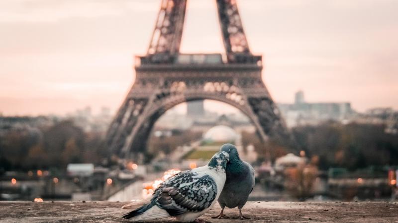 Paris