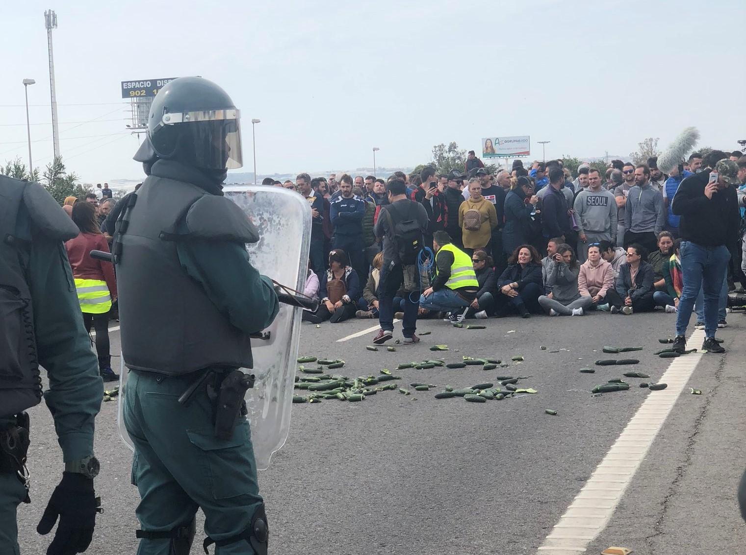 Manifestación de los agricultores en El Ejido (Almería) - Revista F&H