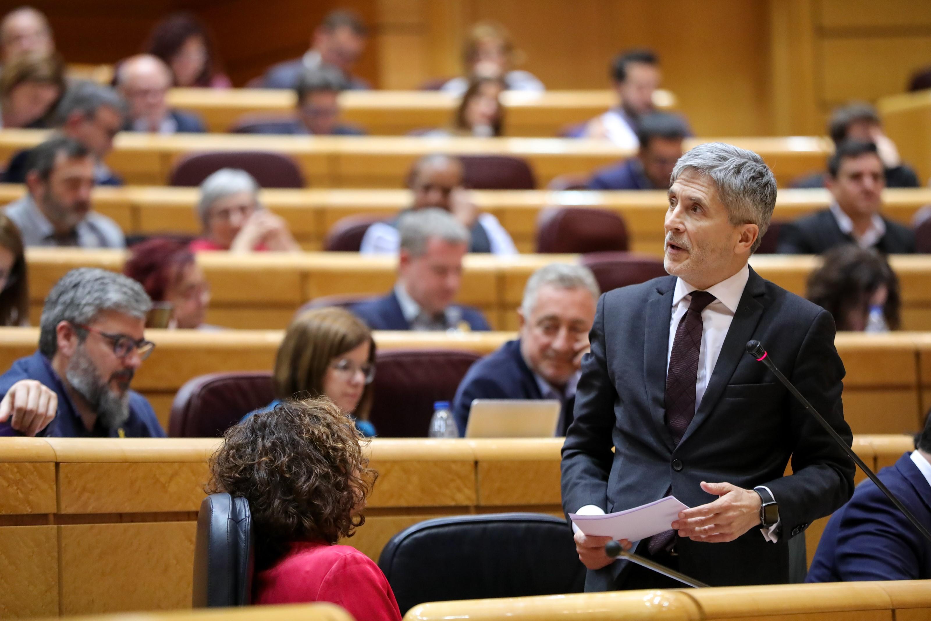 El ministro del Interior Fernando Grande Marlaska durante la primera sesión de control al Gobierno de coalición PSOE y Unidas Podemos de la XIV Legislatura en el Senado en Madrid (España) a 11 d