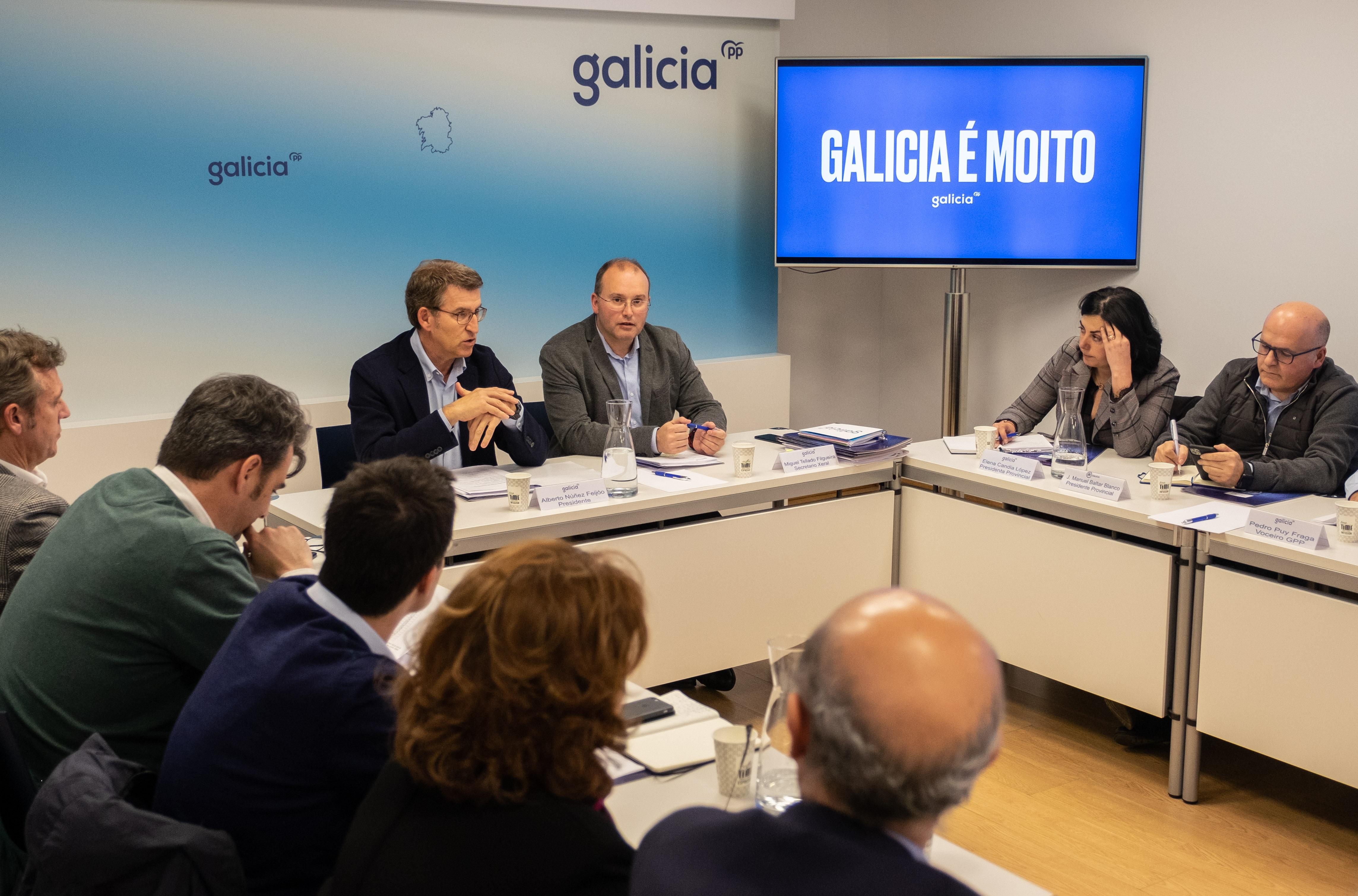 EuropaPress 2654554 El presidente del PP de Galicia Alberto Núñez Feijóo preside el Comité de Dirección del partido 