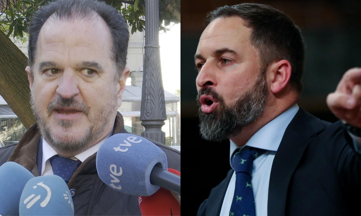 Carlos Iturgaiz y Santiago Abascal