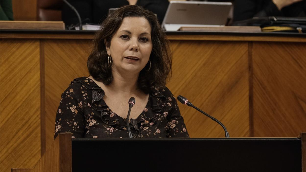 La diputada de extrema derecha Ángela Mulas, en la tribuna del Parlamento andaluz.