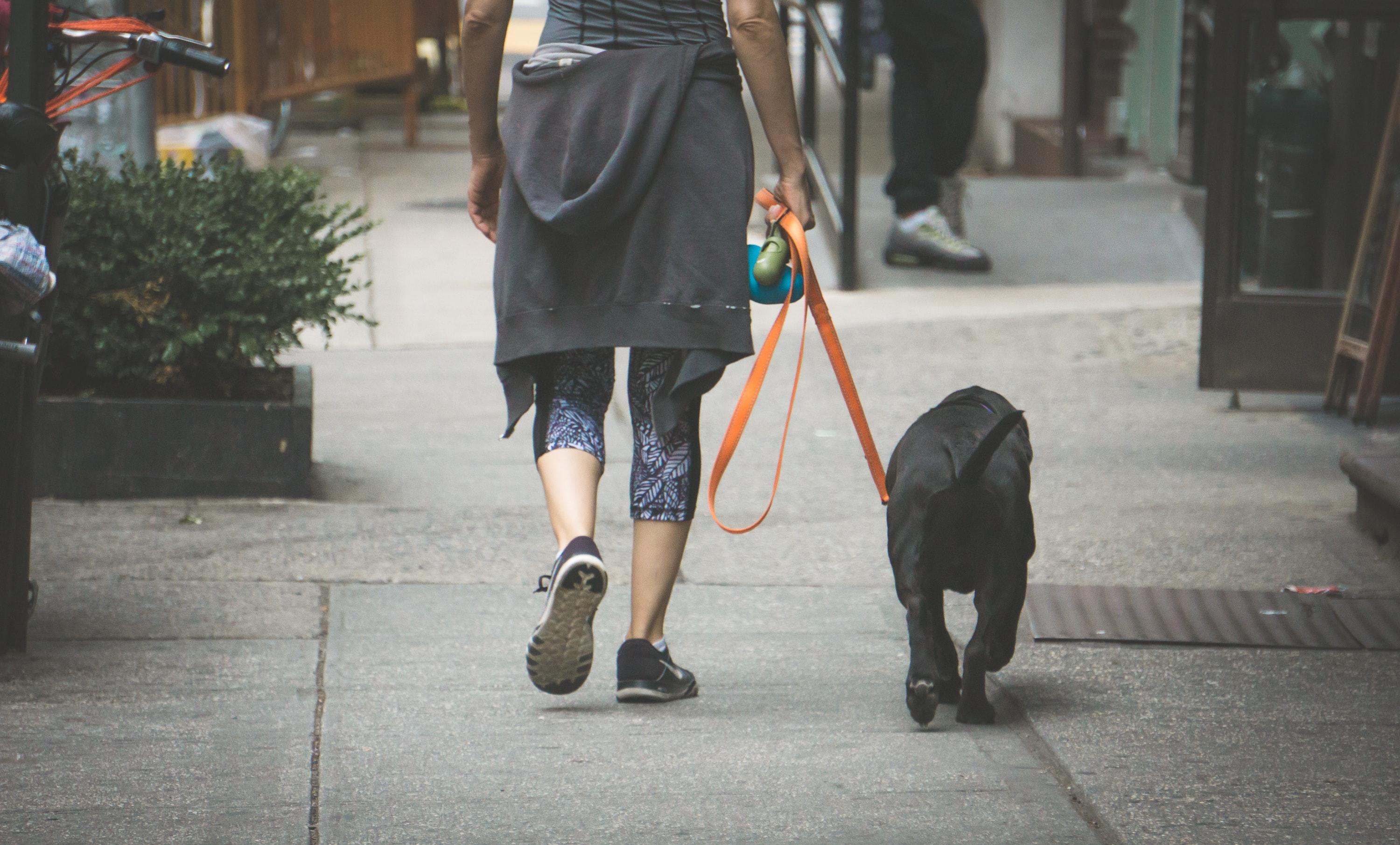 Mujer paseando a su perro. Tatiana Rosríguez para Unsplash