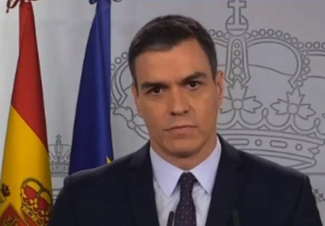 Pedro Sánchez durante la rueda de prensa telemática. Fuente: EP