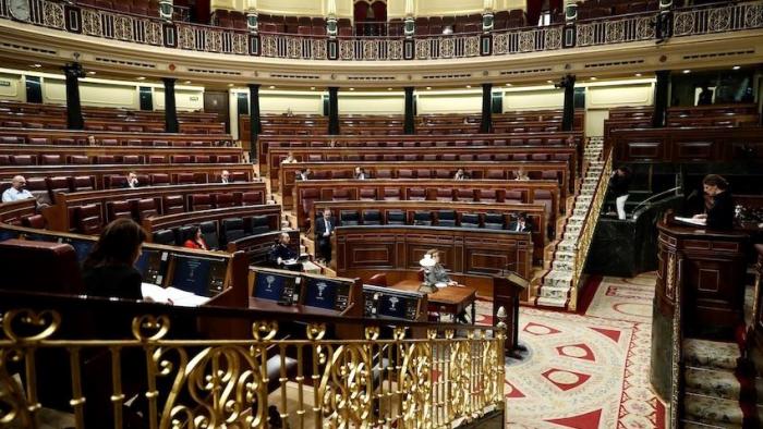 En directo| El Congreso celebra el Día de la Constitución