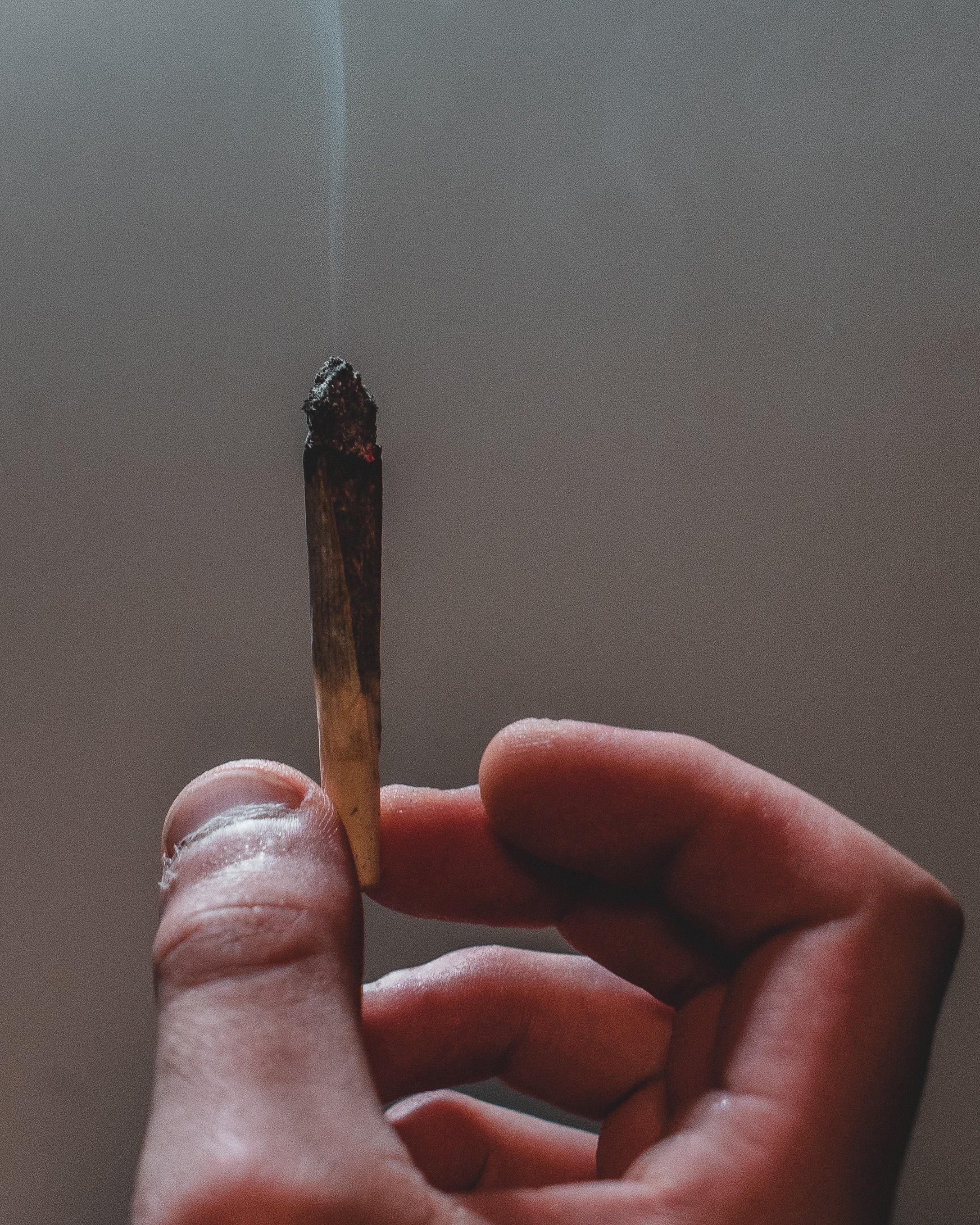 Cigarro. Gras Grun para Unsplash