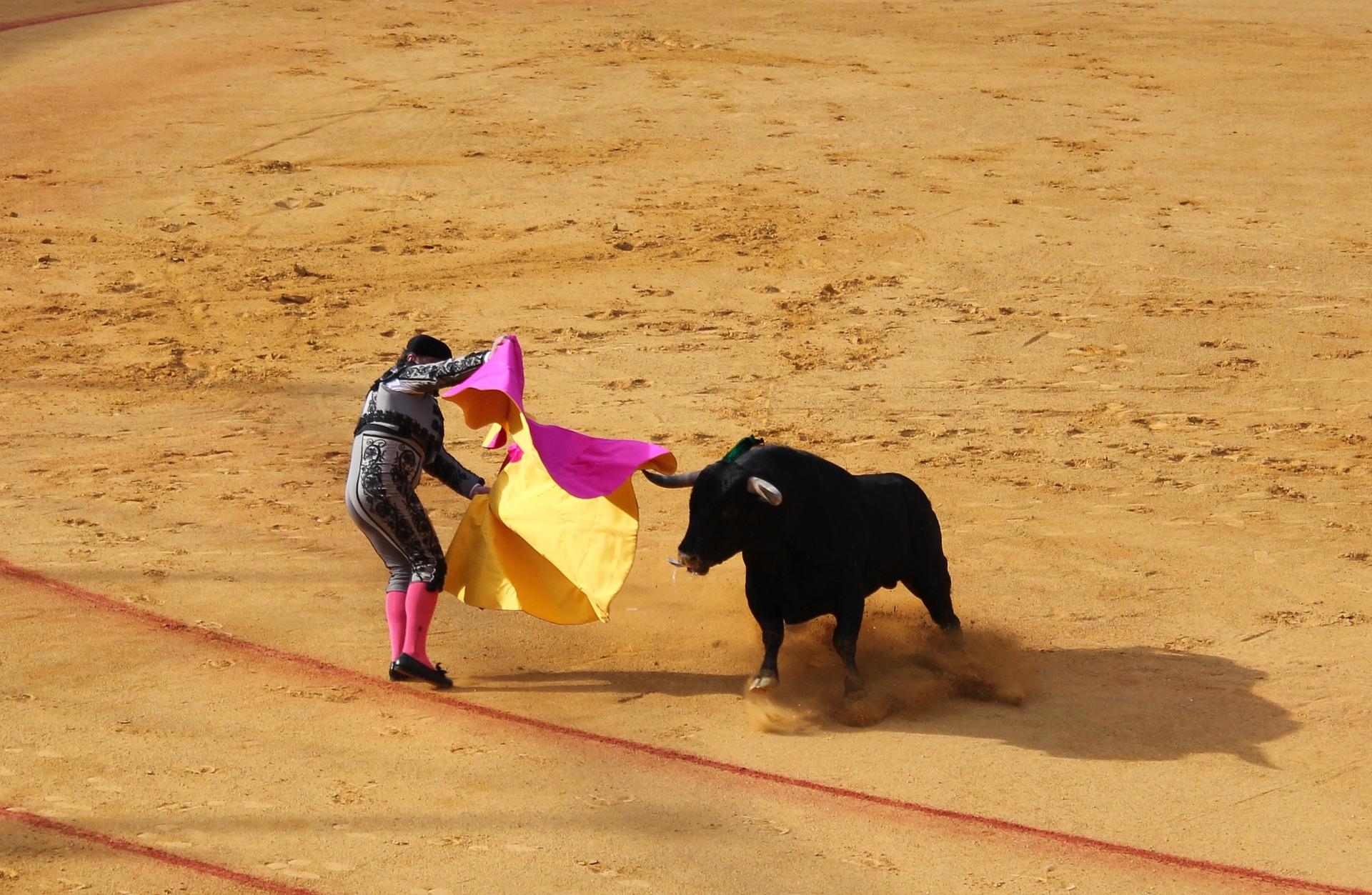 Un torero toreando en una plaza. Fuente: Pixabay.