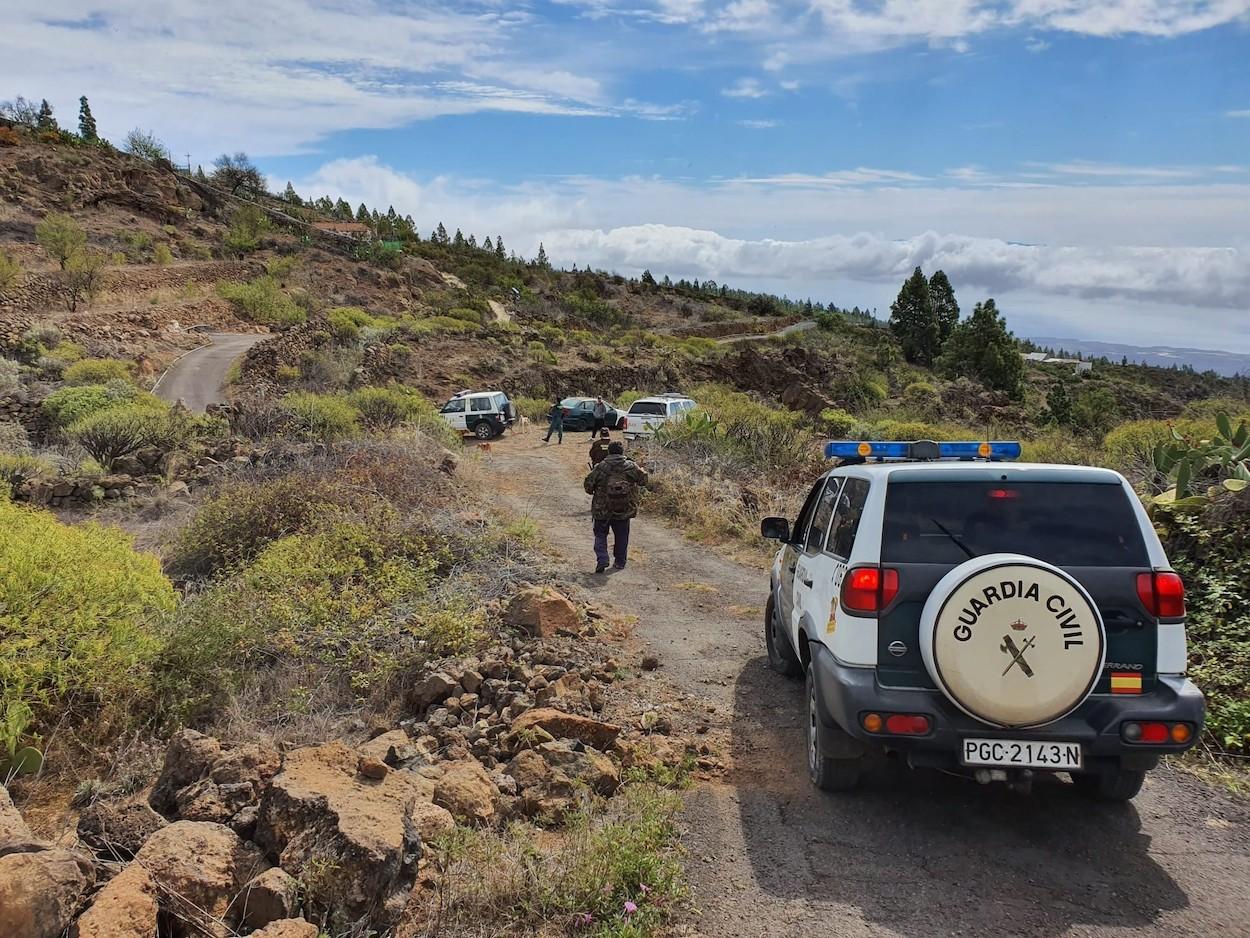 La Guardia Civil sanciona a un hombre que estaba cogiendo espárragos