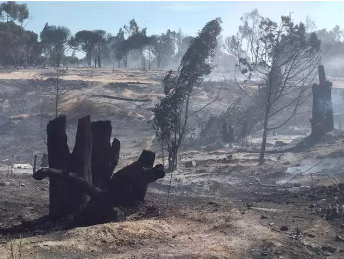 Imagen de archivo del terreno arrasado por el fuego en un asentamiento chabolista de Palos de la Frontera. Fuente: Cáritas.