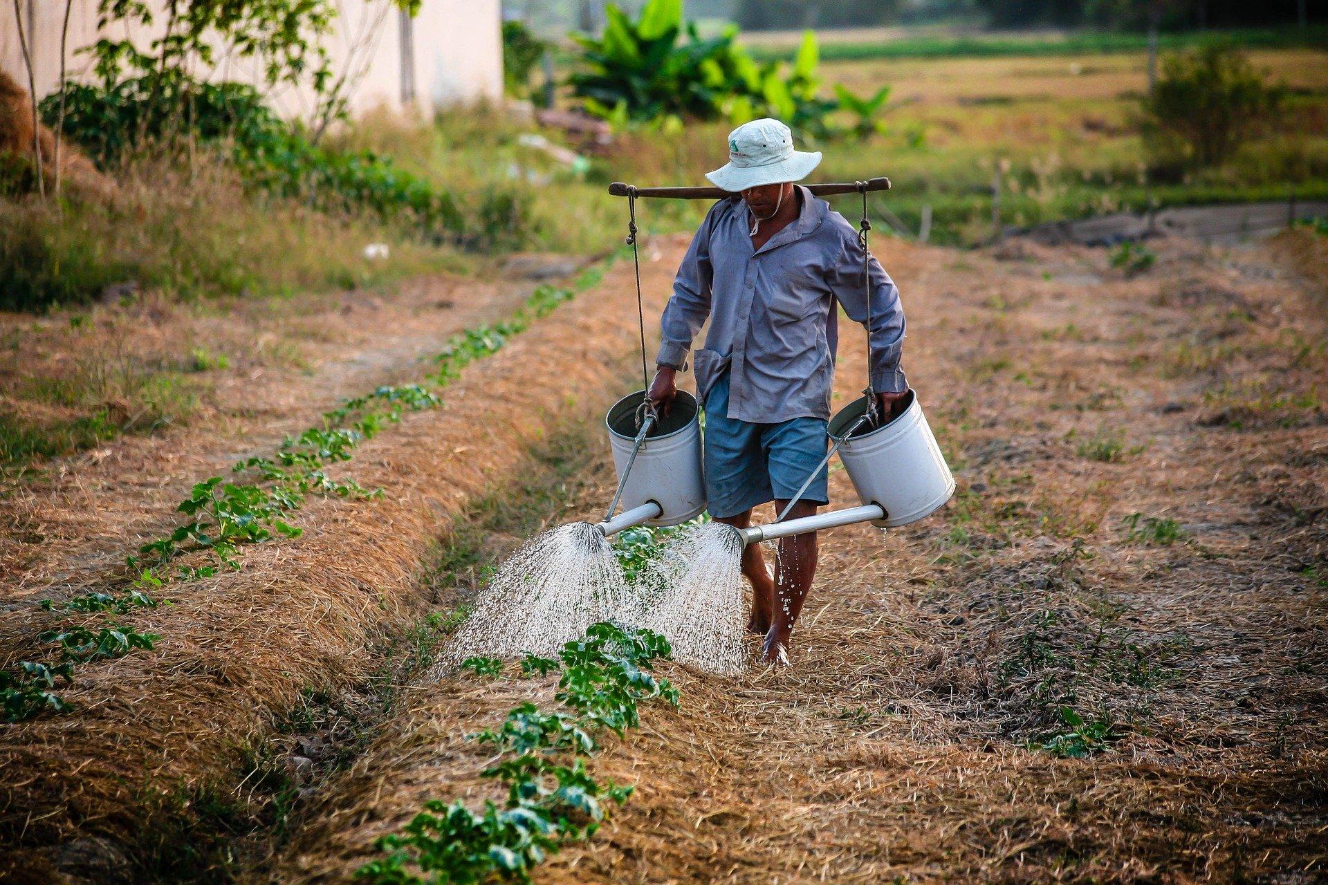 Trabajador del campo en una fotografía de archivo.