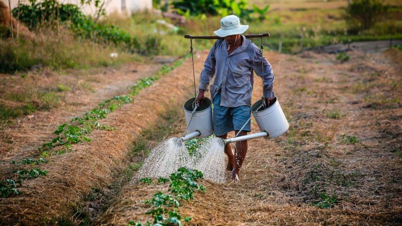 Sectores como la agricultura o el tráfico de mercancías tendrán en la India una rebaja en las restricciones impuestas por el coronavirus