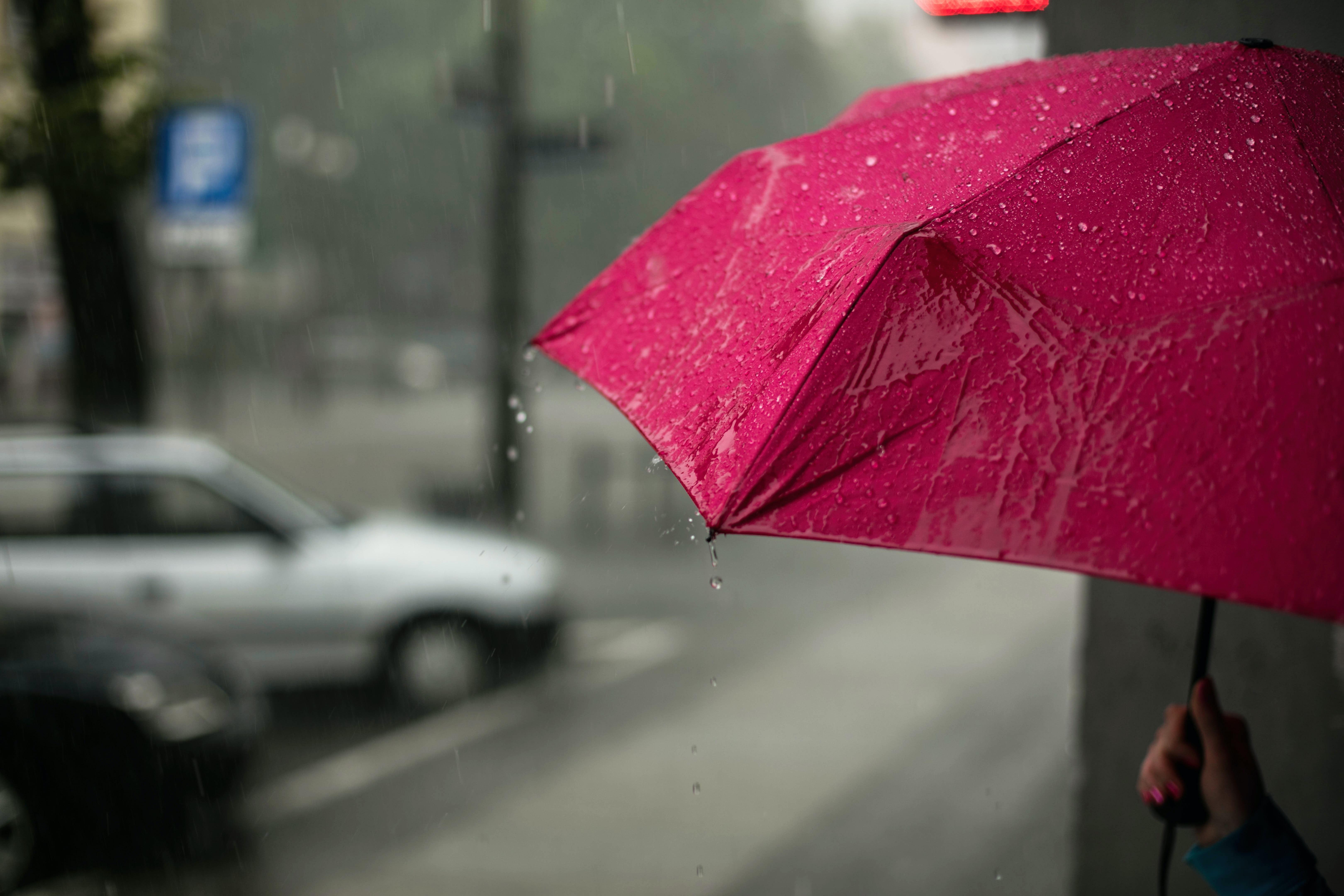 Te contamos cómo se llama el olor que se produce después de llover y cuáles son sus causas