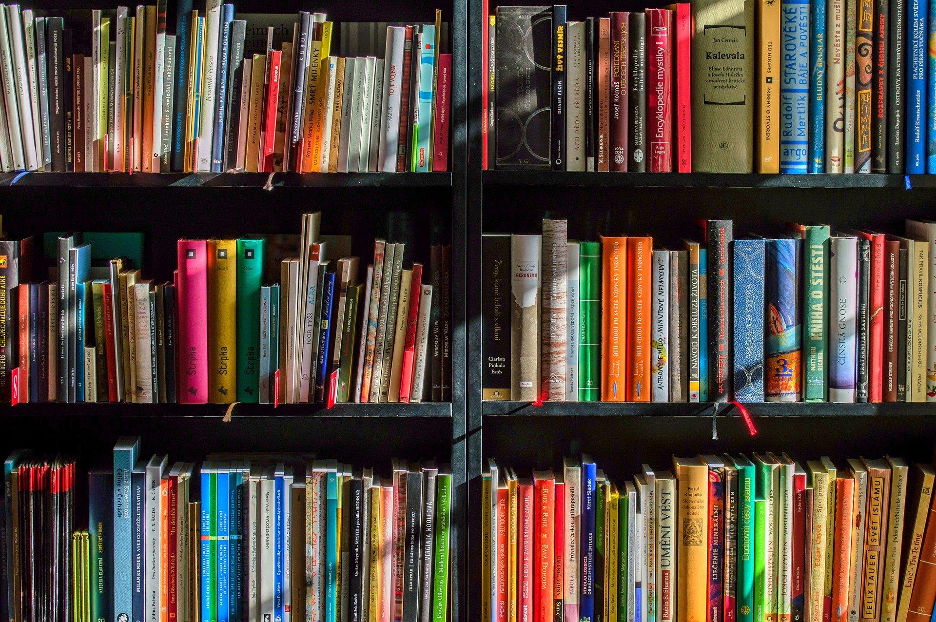Día del Libro confinado: 6 libros que deberías recuperar del fondo de tu  estantería