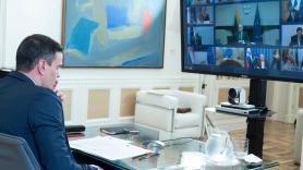 Pedro Sánchez en la cumbre telemática del Consejo Europeo - Fuente: Moncloa