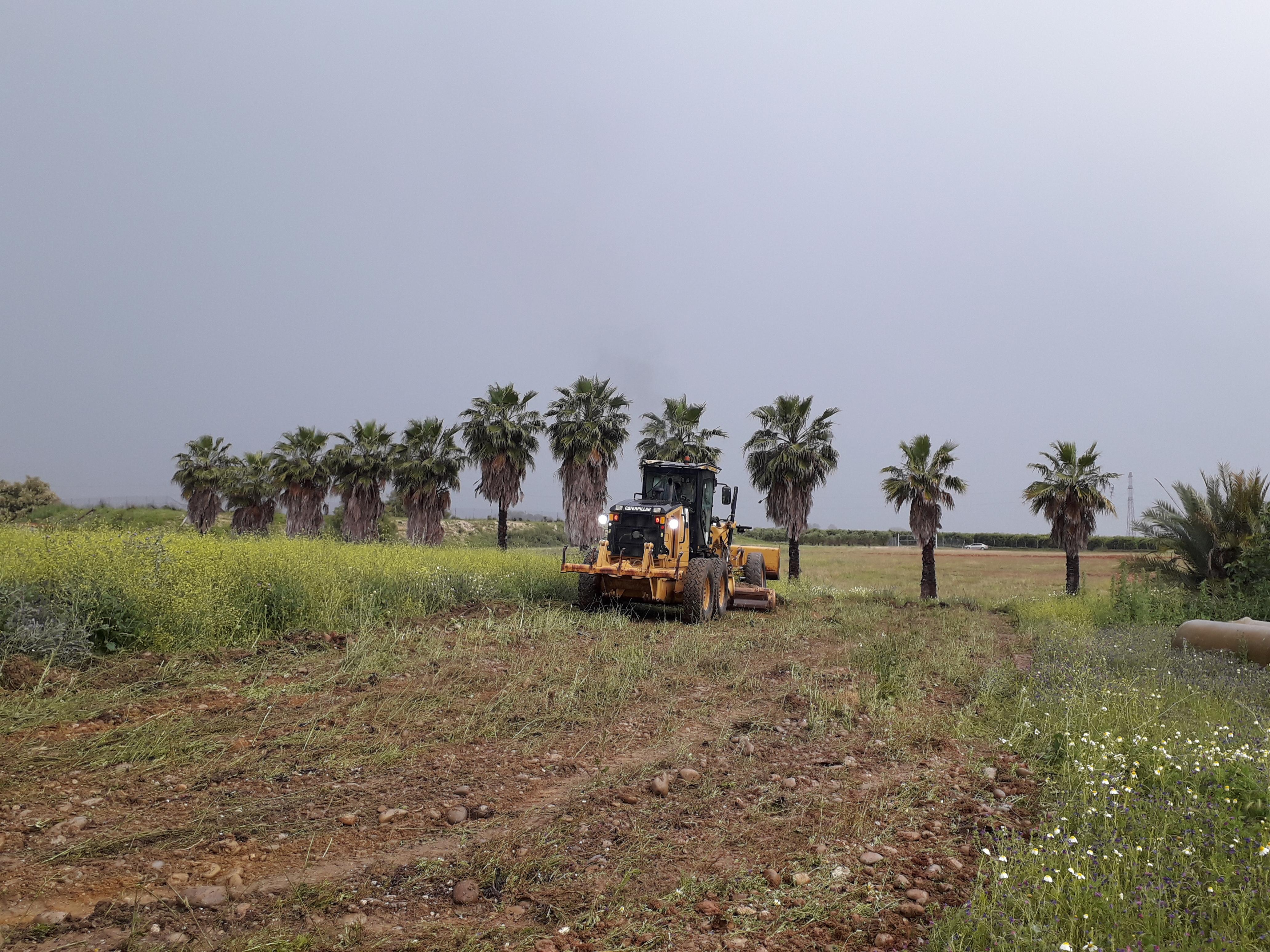 Enel Green Power España (Endesa) inicia las obras de construcción de la planta fotovoltaica "Los Naranjos" - Fuente: Endesa