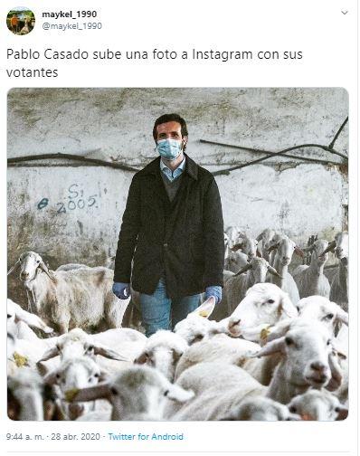 Meme de Twitter de la foto de Pablo Casado con ovejas