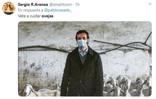 Mensaje de Twitter sobre la foto de Pablo Casado con ovejas