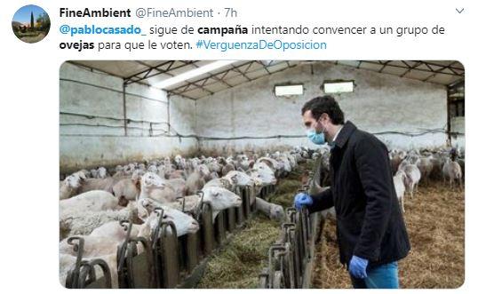 Meme en Twitter sobre la foto de Pablo Casado con ovejas
