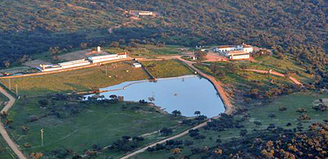 Botín acelera la construcción de una pista de aterrizaje de 1.500 metros para aviones a reacción en su finca de Ciudad Real