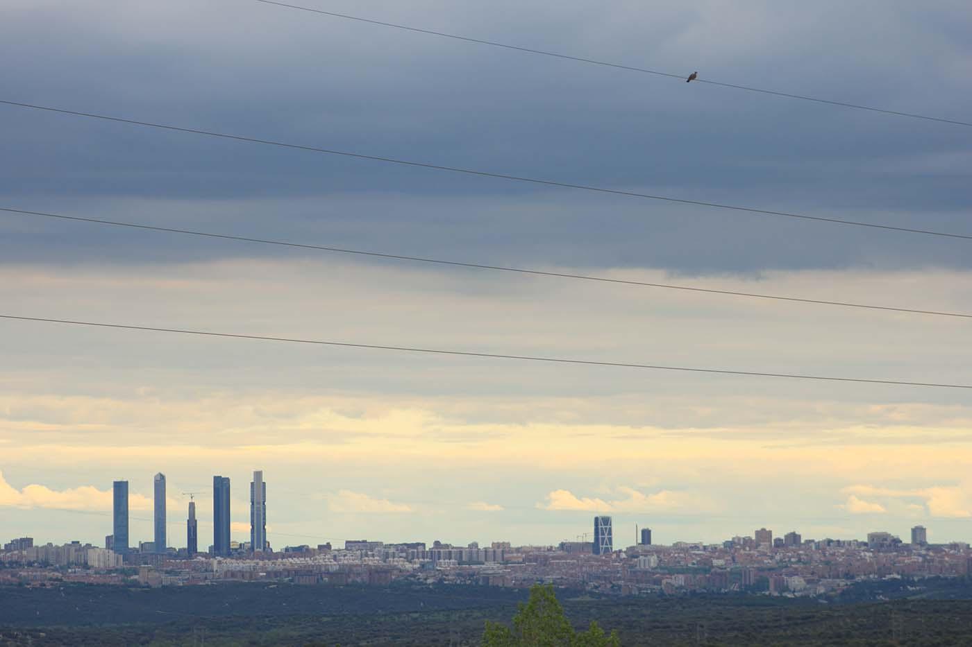 Los contagios de las manifestaciones que Ayuso califica de “broma" se conocerán de 5 a 14 días 