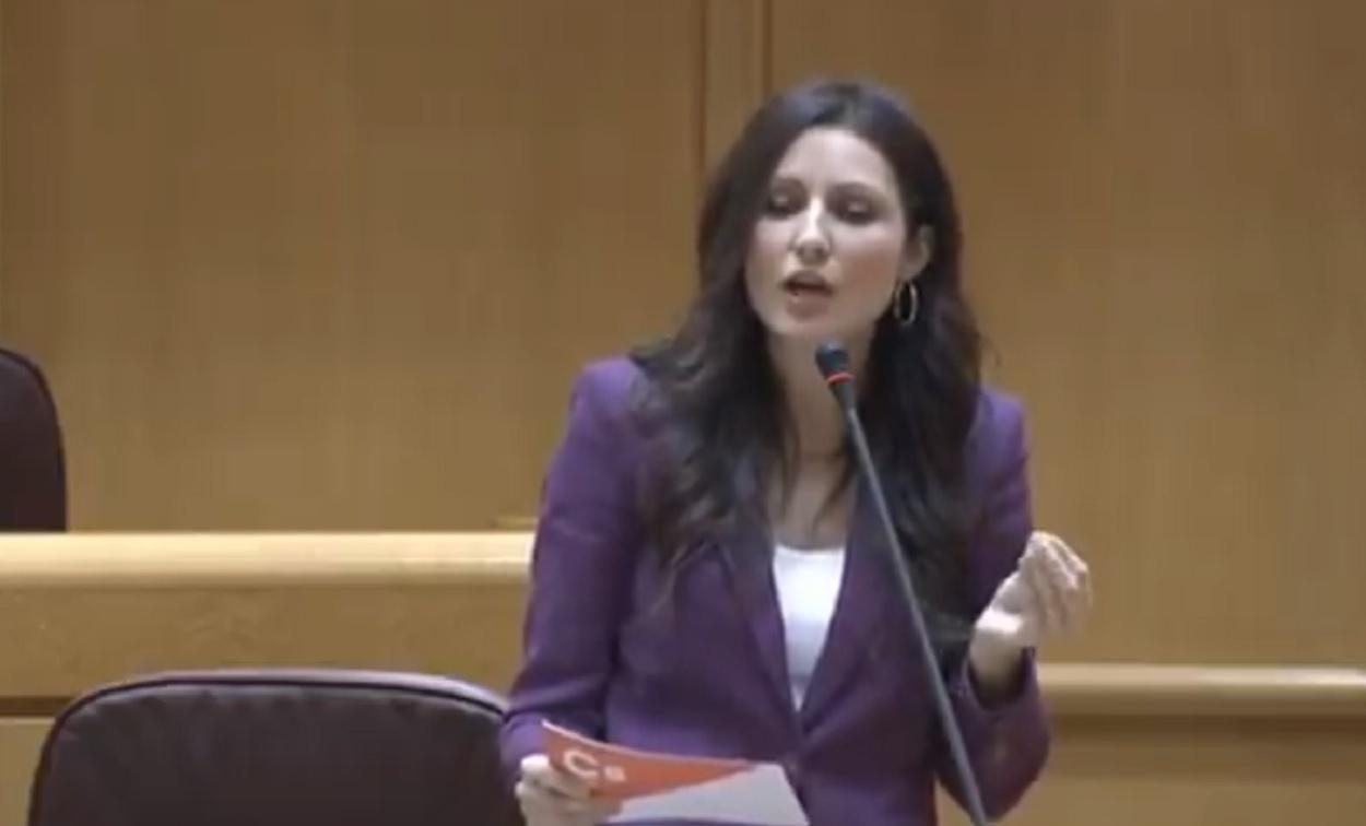 Lorena Roldán durante su comparecencia en el Senado. Fuente: Youtube.