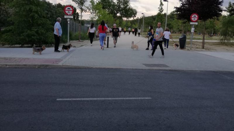 Madrileños disfrutando del paseo o haciendo deporte tras el confinamiento