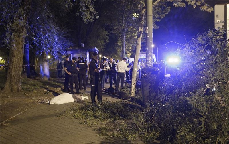 Los "recortes" de Botella se cobran una nueva vida: 228 jardineros menos, otro muerto por la caída de un árbol