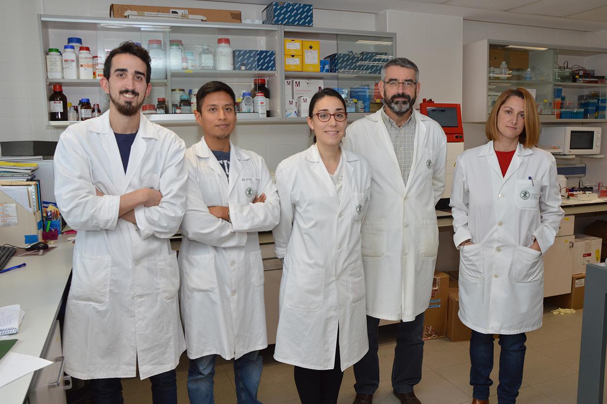 Entre los proyectos de investigación que financiará la Fundación "la Caixa" está uno de moléculas dirigidas contra el ARN del SARS CoV 2, liderado por José Gallego, de la Fundación Universidad Católica de Valencia San Vicente Mártir