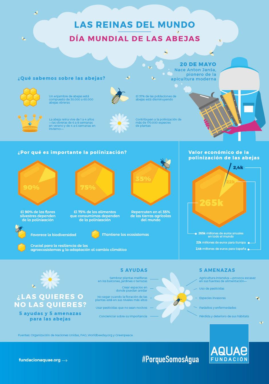 Hoy es el Día Mundial de las Abejas Hoy es el Día Mundial de las Abejas
