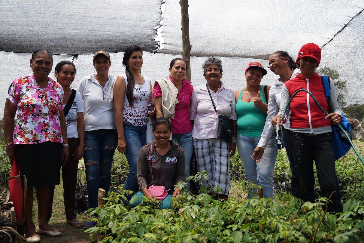 Mujeres contra el cambio climático: ¿Quién ganará la batalla?