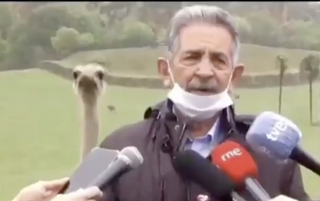 Un avestruz junto a Miguel Ángel Revilla