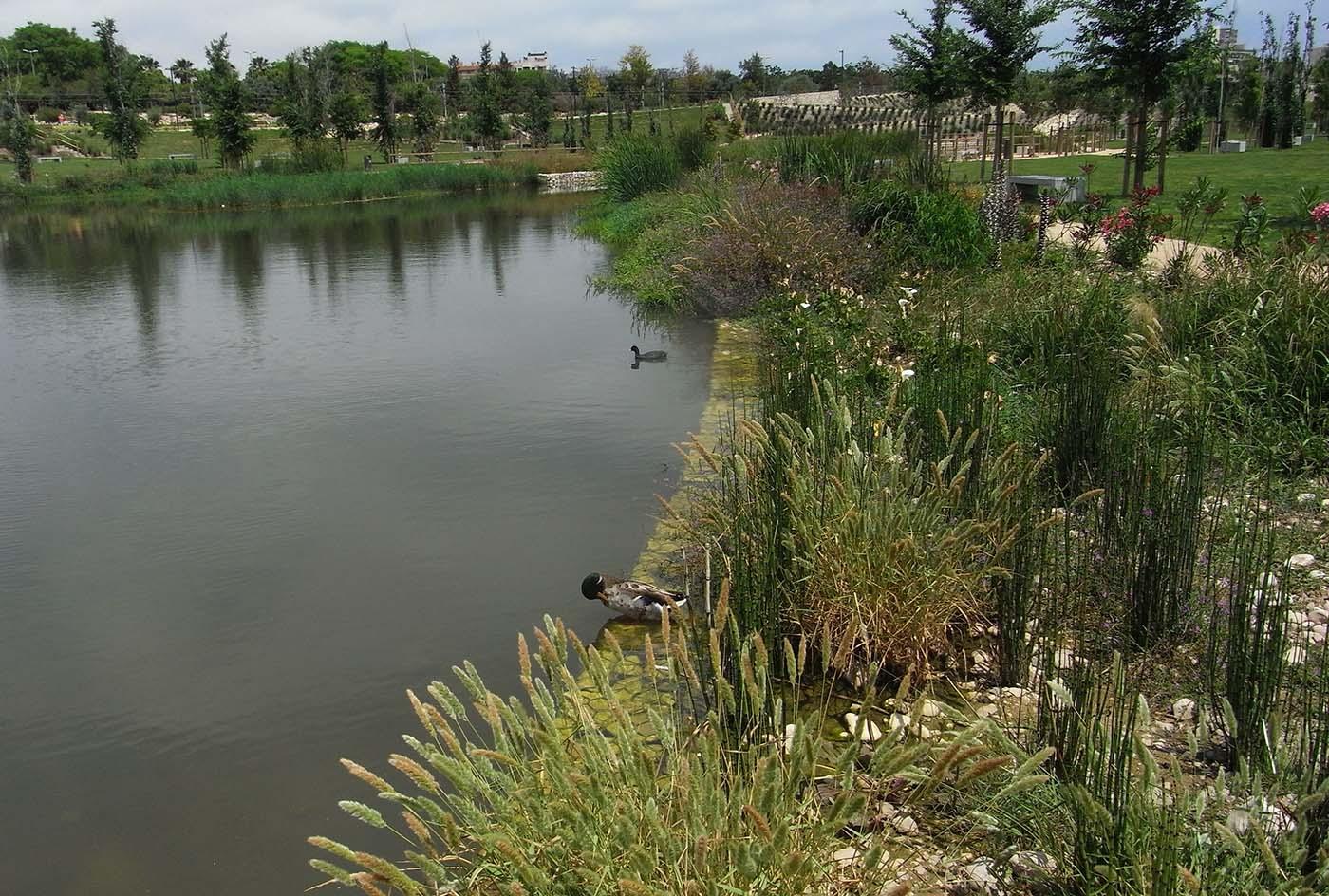 el parque de La Marjal en la ciudad de Alicante constituye una infraestructura verde urbana de referencia en España