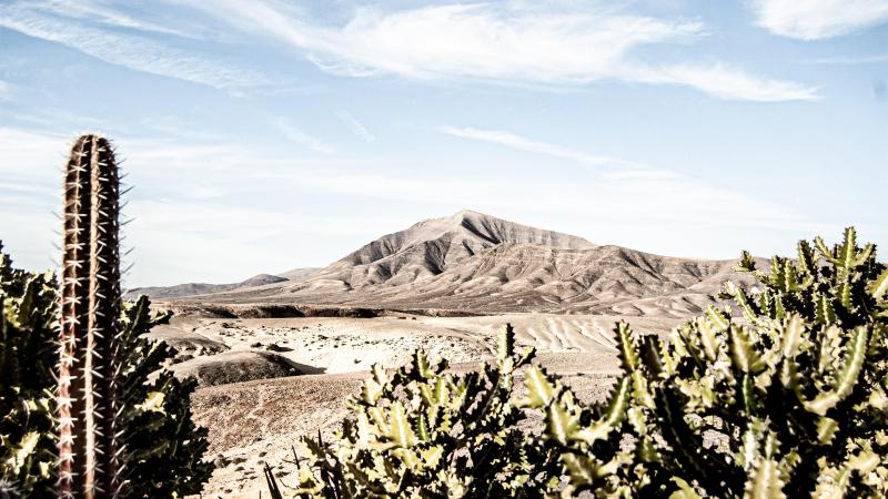 Lanzarote. España. 