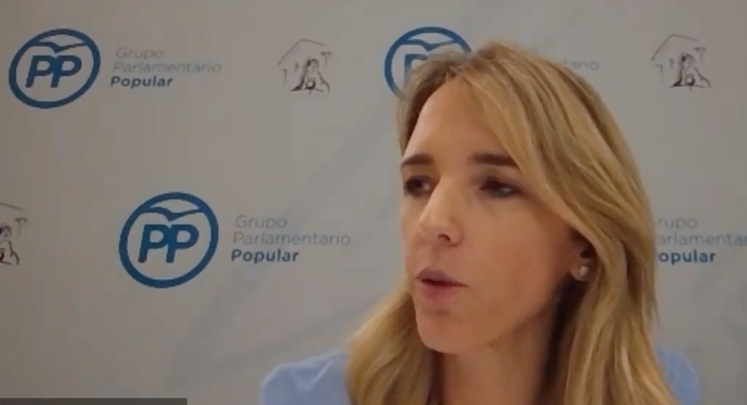 Cayetana Álvarez de Toledo en una rueda de prensa on line. EP