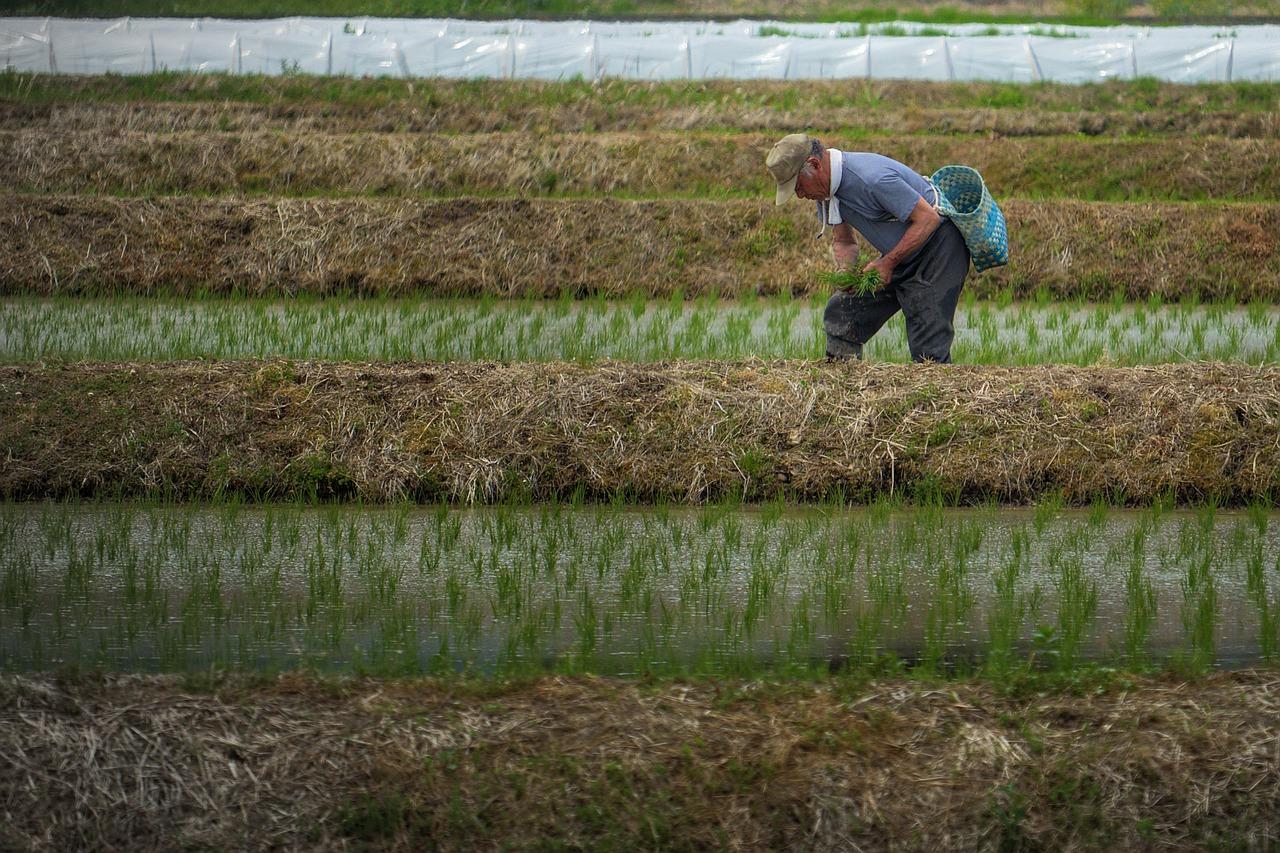 Protestas en el sector agrario por las inspecciones de trabajo