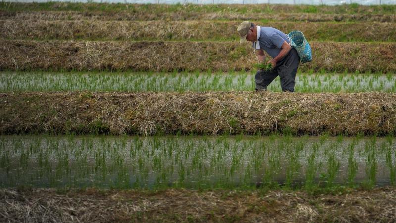 Protestas en el sector agrario por las inspecciones de trabajo