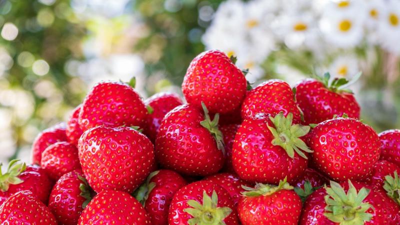 Un gran porcentaje de la composición de las fresas es agua