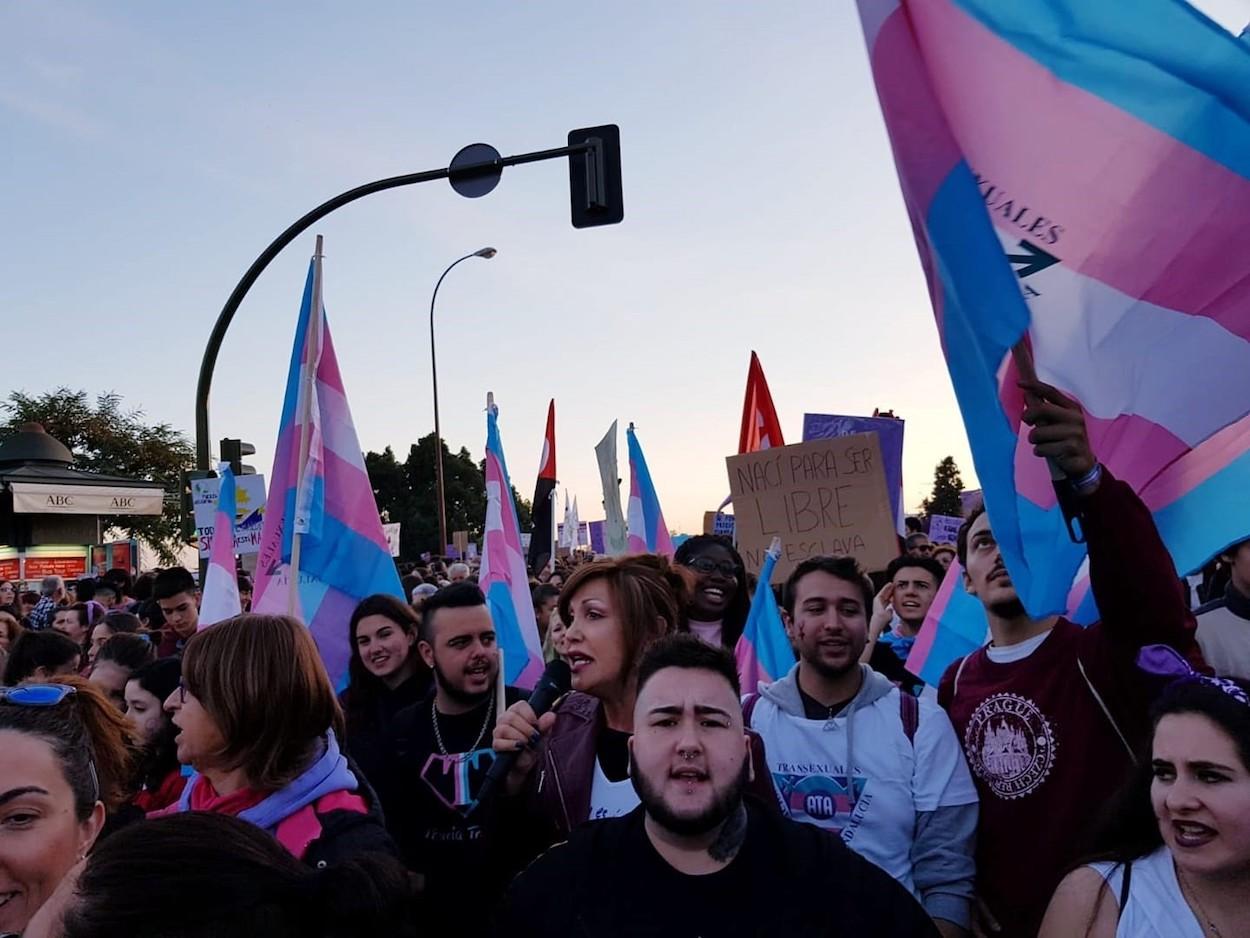 Un conjunto de manifestantes con banderas trans