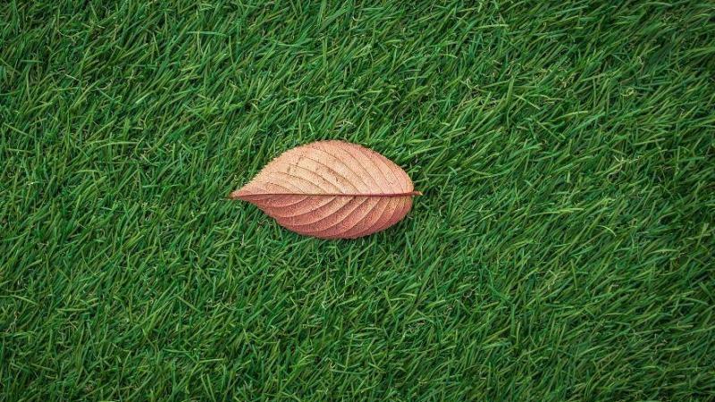 Para comenzar a limpiar el césped artificial hay que retirar cualquier hoja o rama que se encuentre sobre él Para comenzar a limpiar el césped artificial hay que retirar cualquier hoja o rama que se encuentre sobre él